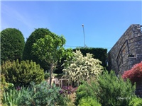 da92f23b-20170516 Ri piracanta p.jpg